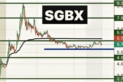 SGBXV Stock