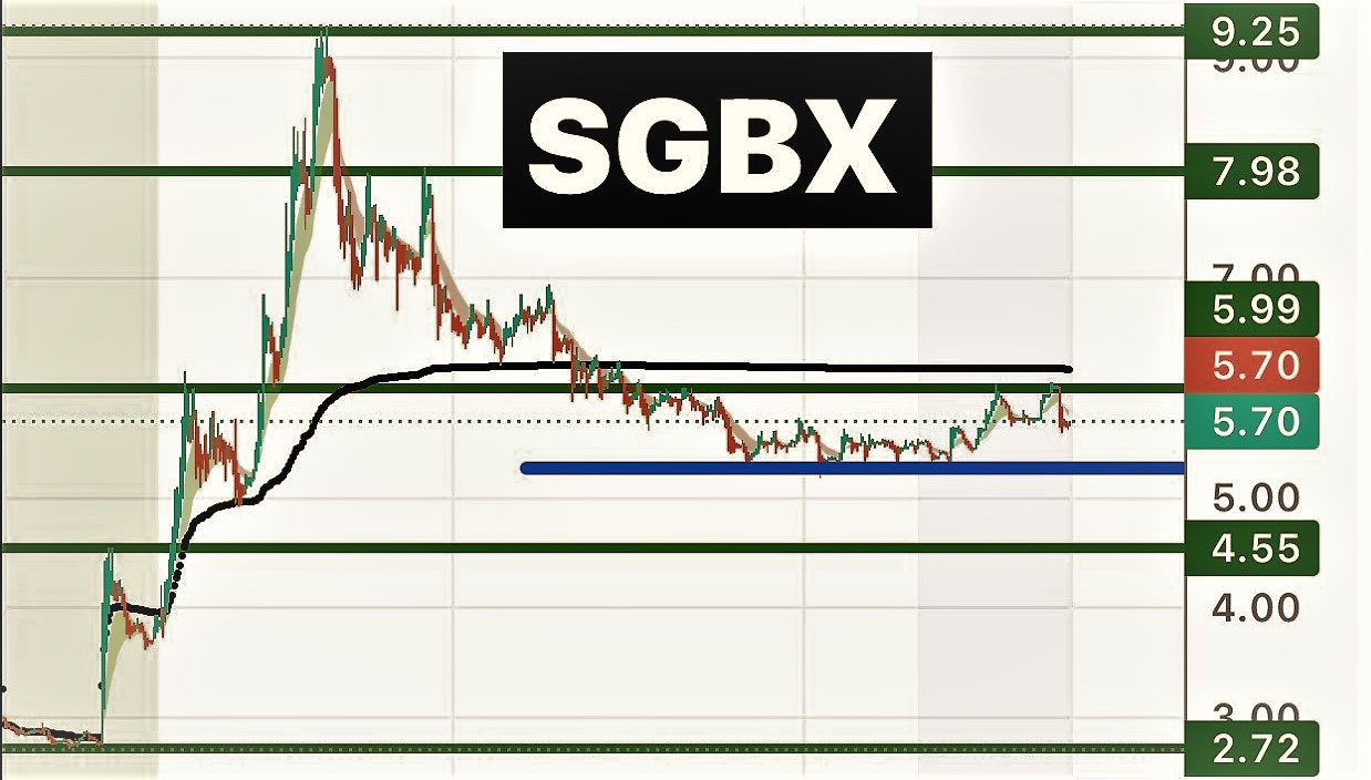 SGBXV Stock