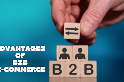 advantages of b2b e commerce