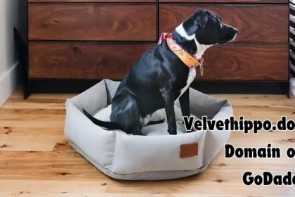 Velvethippo.dog Domain on GoDaddy