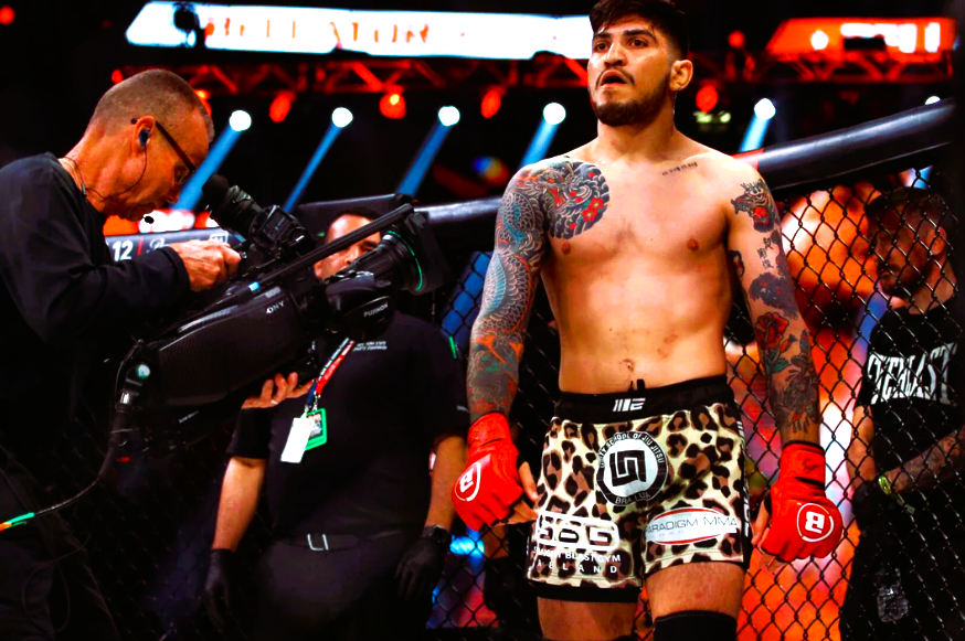 dillon danis twitter