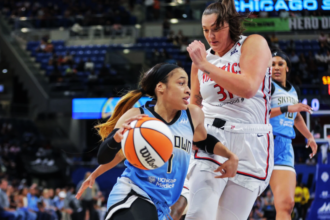 washington mystics vs chicago sky match player stats